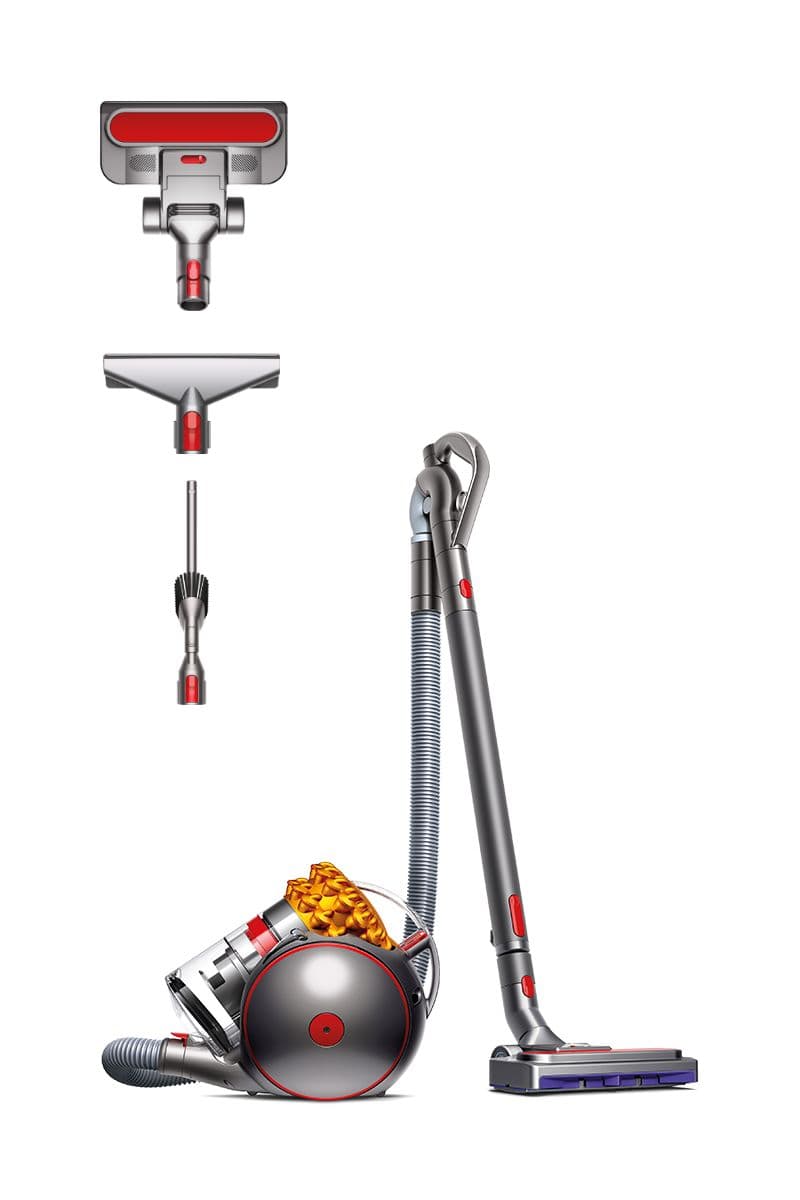 Dyson Big Ball Multifloor